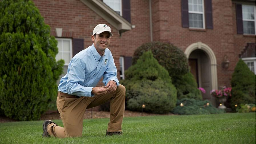 Cover photo of Lawn Doctor of High Point